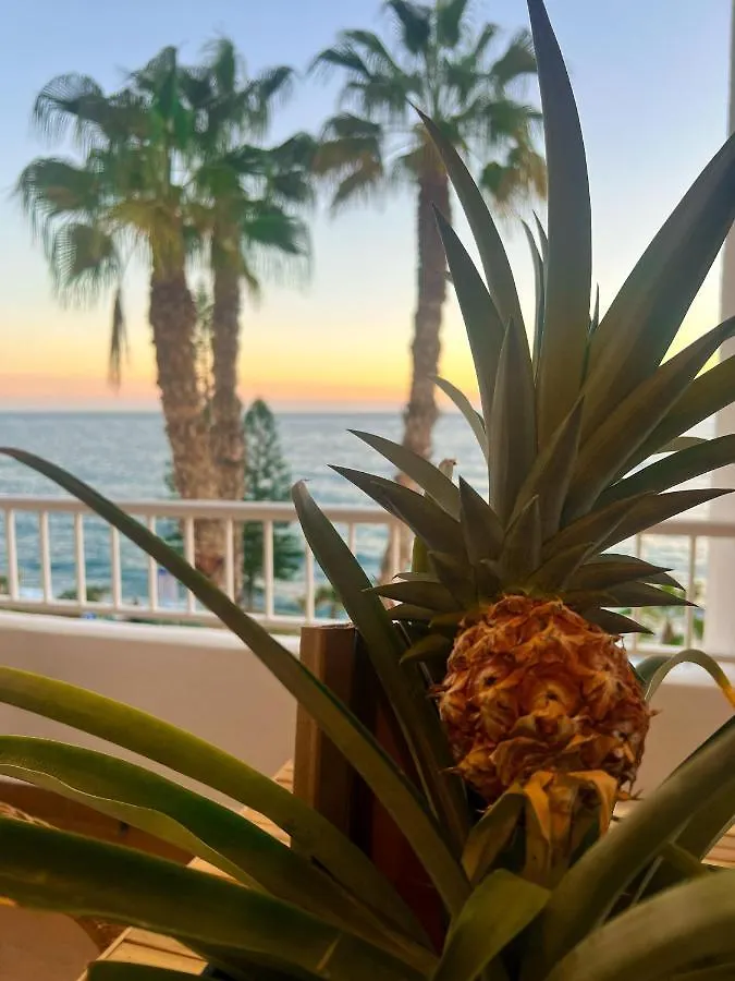 Apartamento Dreamstay Primera Linea De Playa Costa Tropical Granada